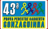 43� Corrida Sargento Gonzaguinha - SP